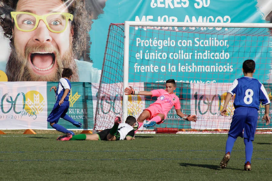 Jornada final de la Copa Tormes en Santa Mart