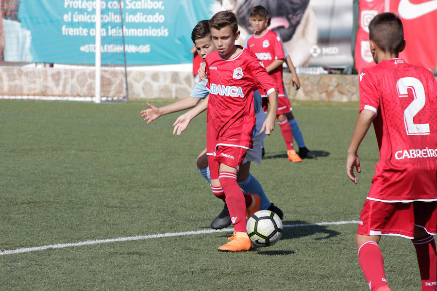 Jornada final de la Copa Tormes en Santa Mart