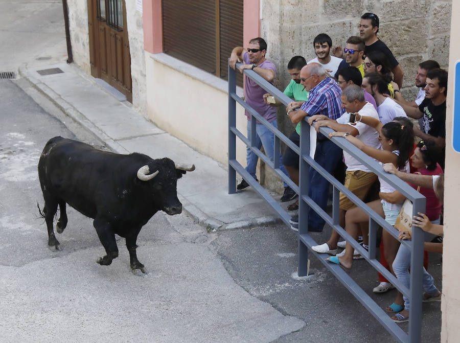 Fotos: Astudillo festeja su primer Toro del Pueblo