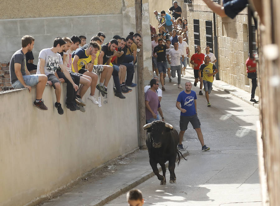 Fotos: Astudillo festeja su primer Toro del Pueblo