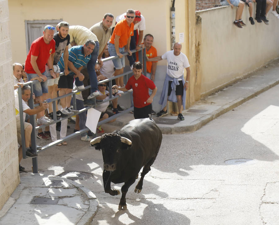 Fotos: Astudillo festeja su primer Toro del Pueblo