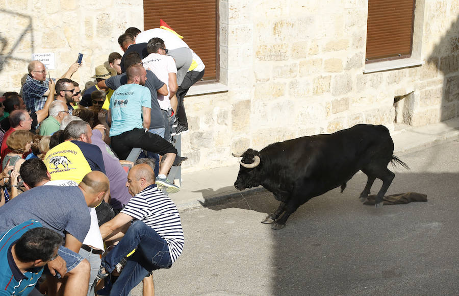 Fotos: Astudillo festeja su primer Toro del Pueblo