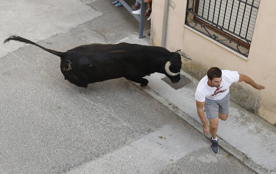 Fotos: Astudillo festeja su primer Toro del Pueblo