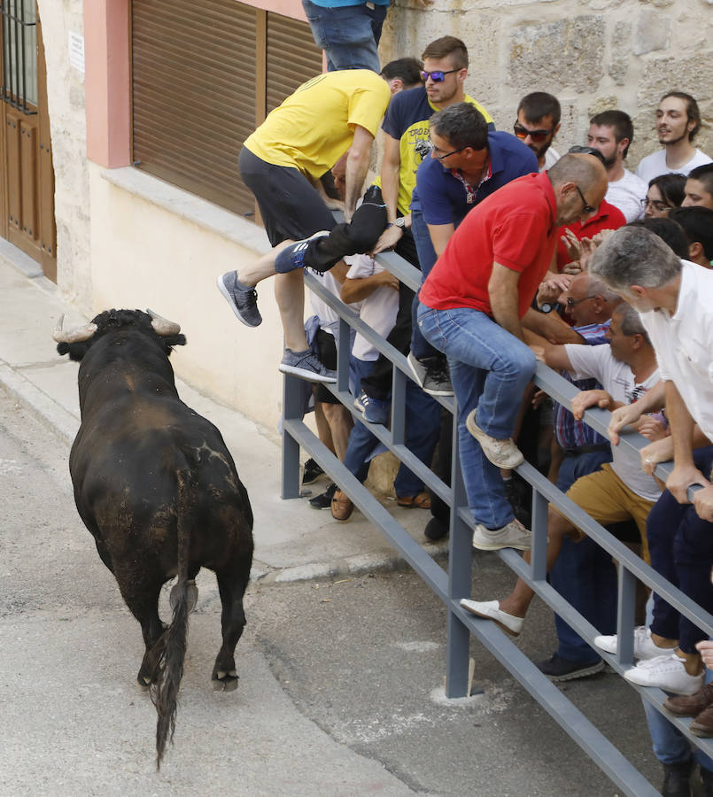 Fotos: Astudillo festeja su primer Toro del Pueblo