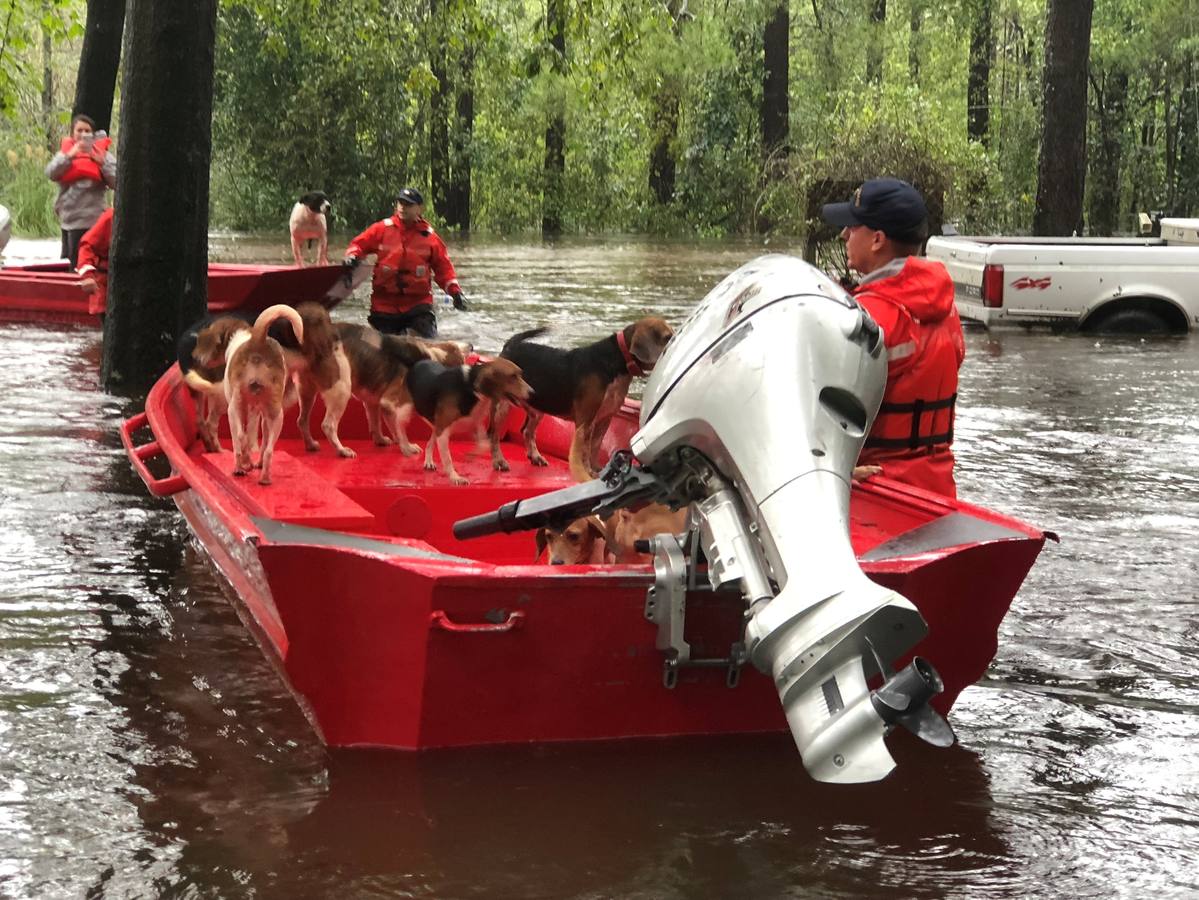 Mientras Florence se disipa en su camino hacia el noroeste, la ahora depresión tropical sigue dejando una pertinaz lluvia en la región, especialmente en la frontera entre Carolina del Norte y Carolina del Sur