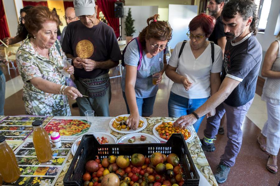 Fotos: Cata de tomates en el Centro Cívico El Campillo