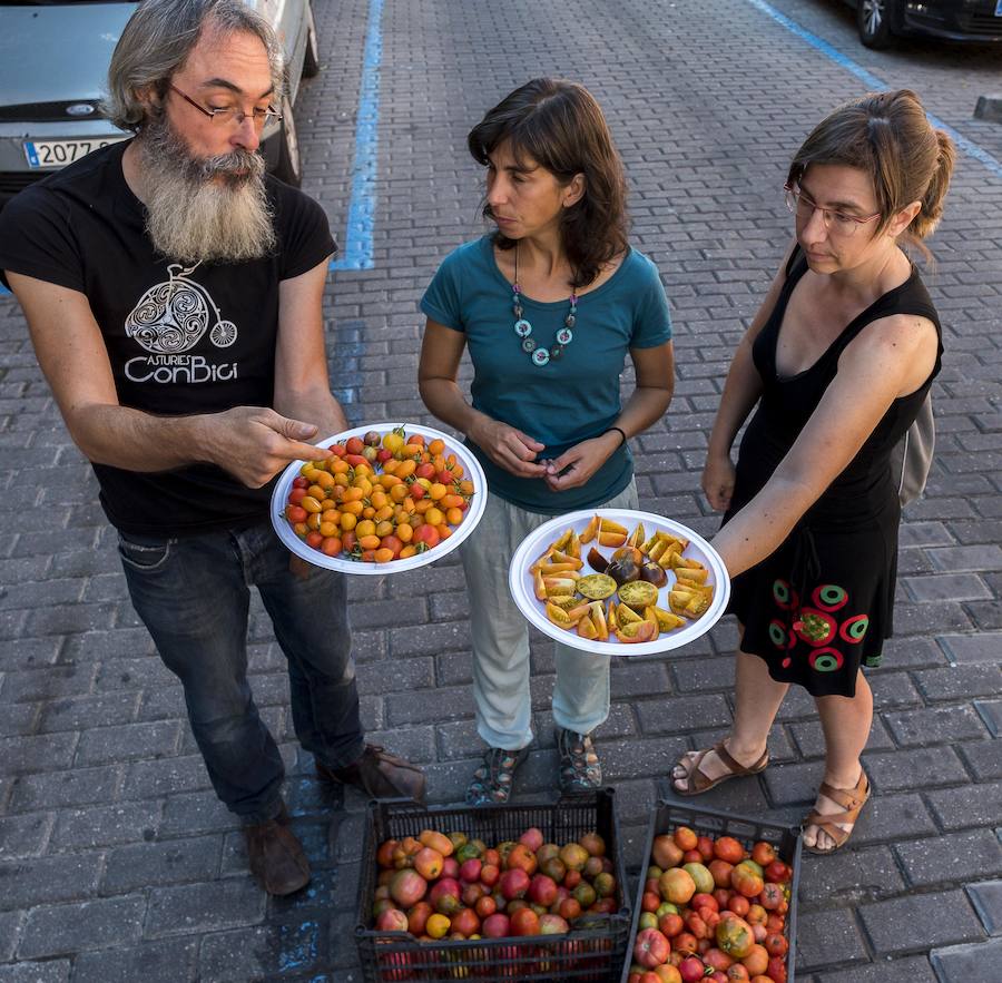 Fotos: Cata de tomates en el Centro Cívico El Campillo