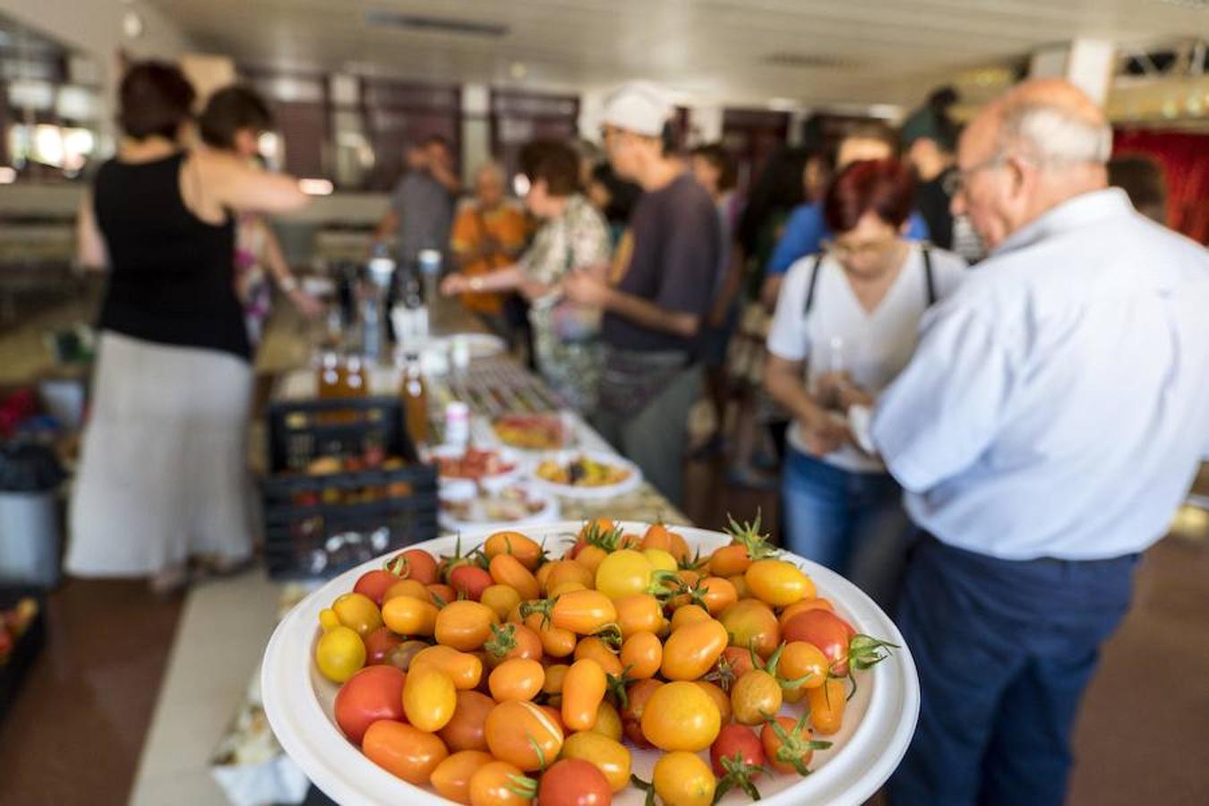 Fotos: Cata de tomates en el Centro Cívico El Campillo