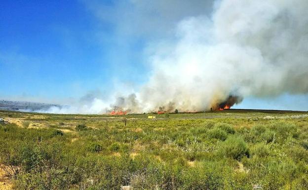 Incendio en Abejera, Zamora.