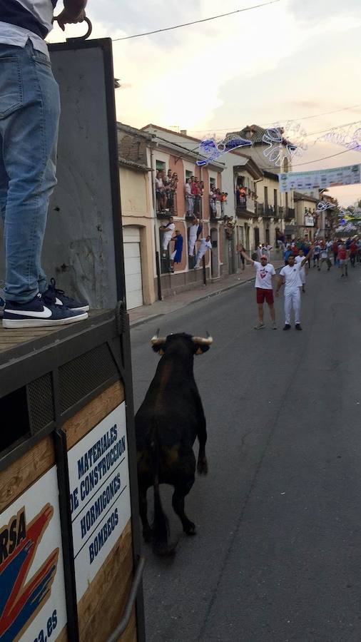 Fotos: Así han sido las fiestas de Nava de la Asunción 2018