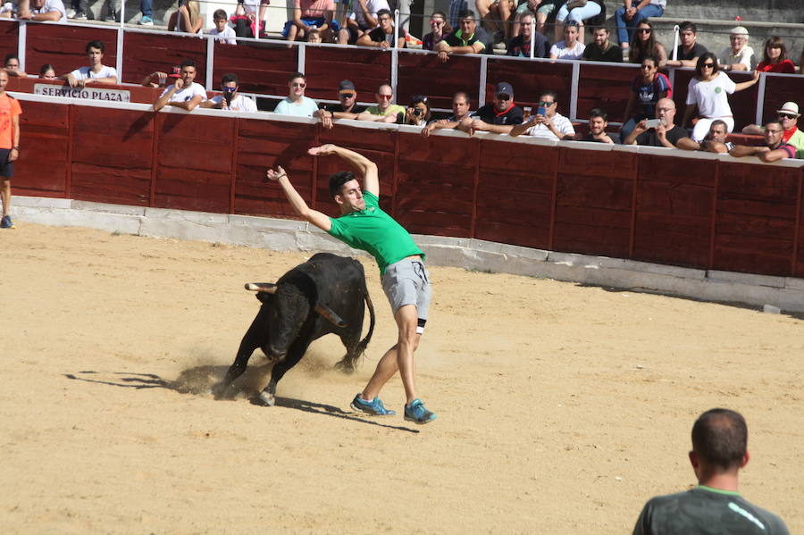 Fotos: Así han sido las fiestas de Nava de la Asunción 2018