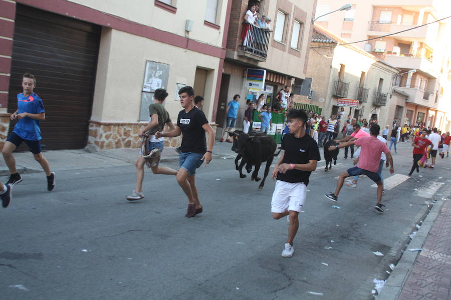 Fotos: Así han sido las fiestas de Nava de la Asunción 2018