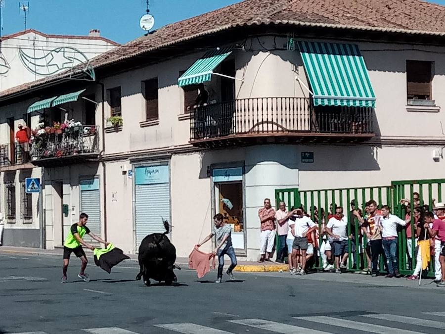 Fotos: Así han sido las fiestas de Nava de la Asunción 2018