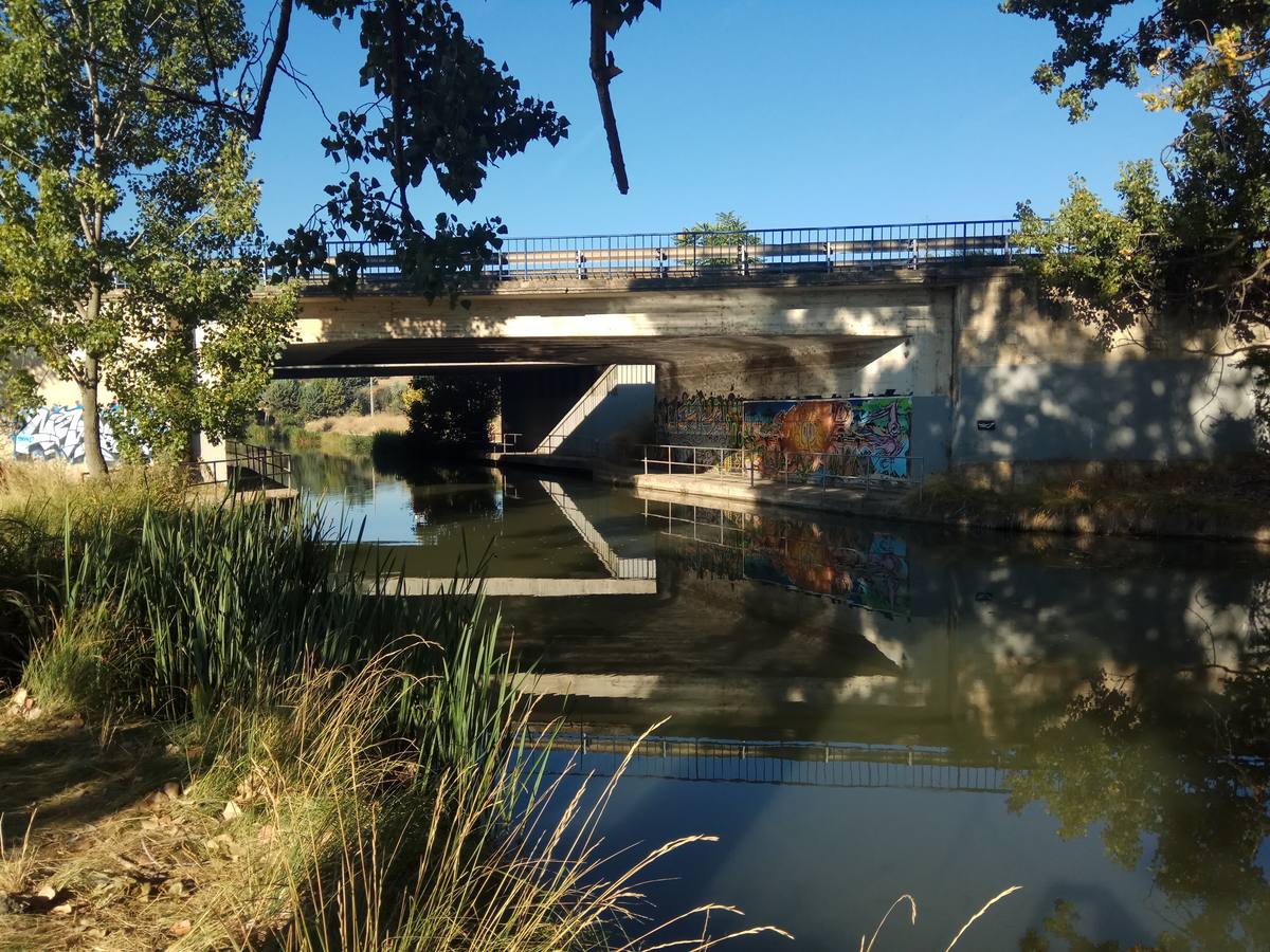 Fotos: Una mañana en la ribera del Canal de Castilla a su paso por Valladolid