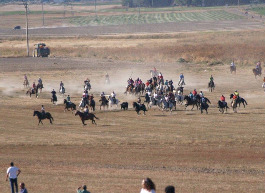 Los 'Encierros tradicionales al estilo de la Villa', declarados como fiesta de interés turístico regional, se celebran el sábado y el domingo.