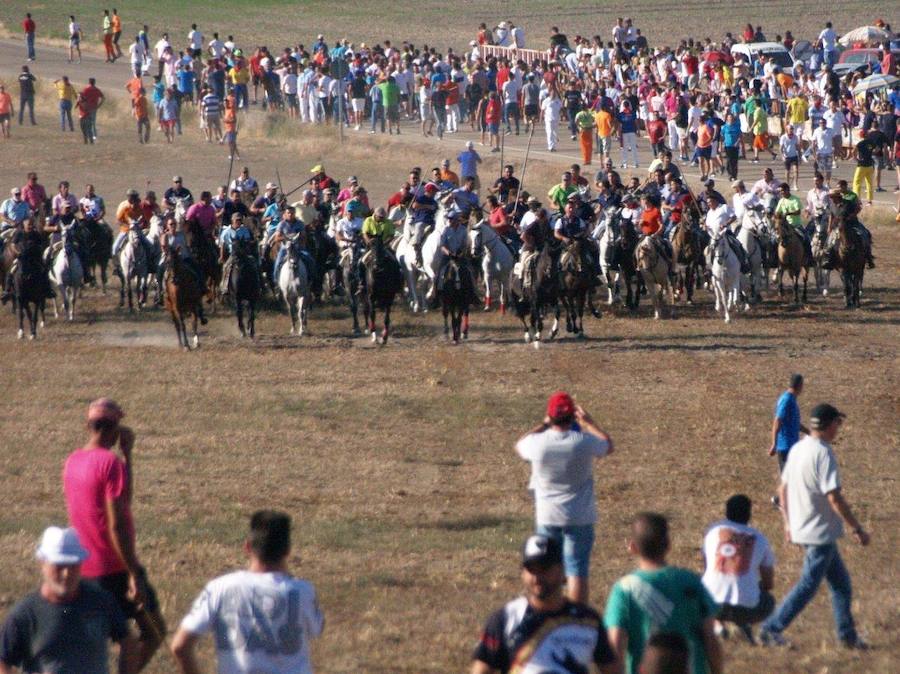 Los 'Encierros tradicionales al estilo de la Villa', declarados como fiesta de interés turístico regional, se celebran el sábado y el domingo.