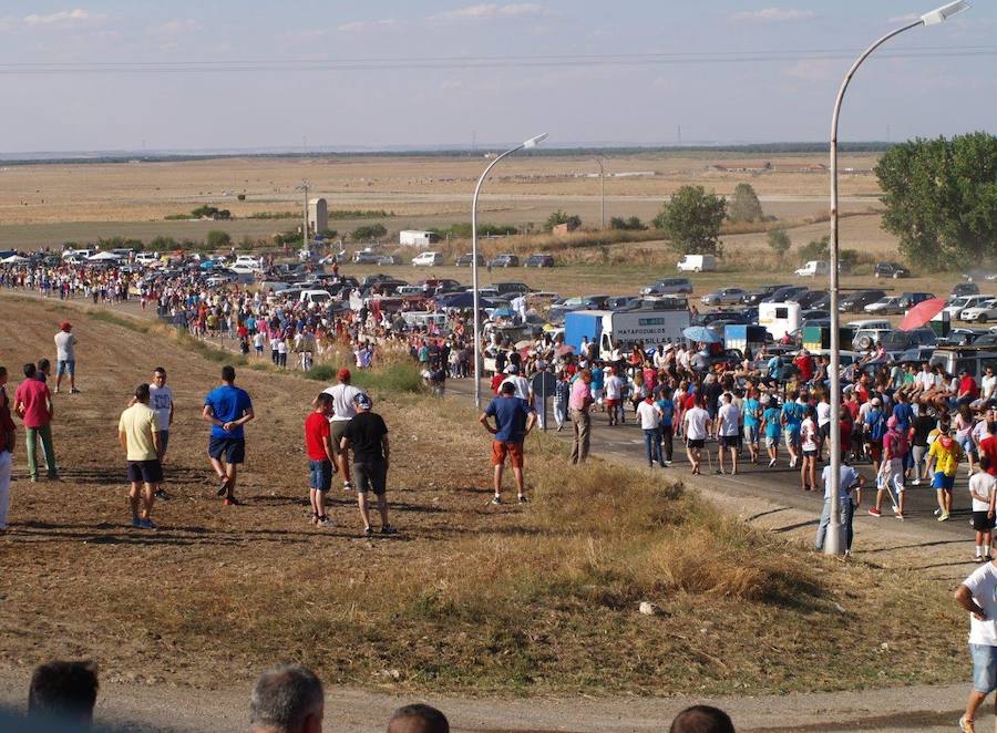 Los 'Encierros tradicionales al estilo de la Villa', declarados como fiesta de interés turístico regional, se celebran el sábado y el domingo.