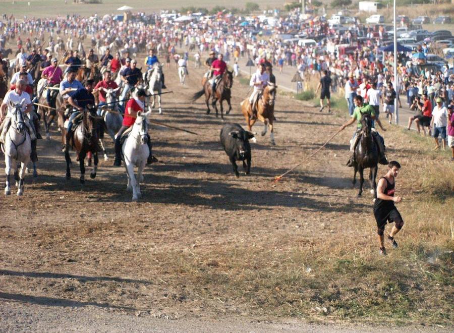Los 'Encierros tradicionales al estilo de la Villa', declarados como fiesta de interés turístico regional, se celebran el sábado y el domingo.