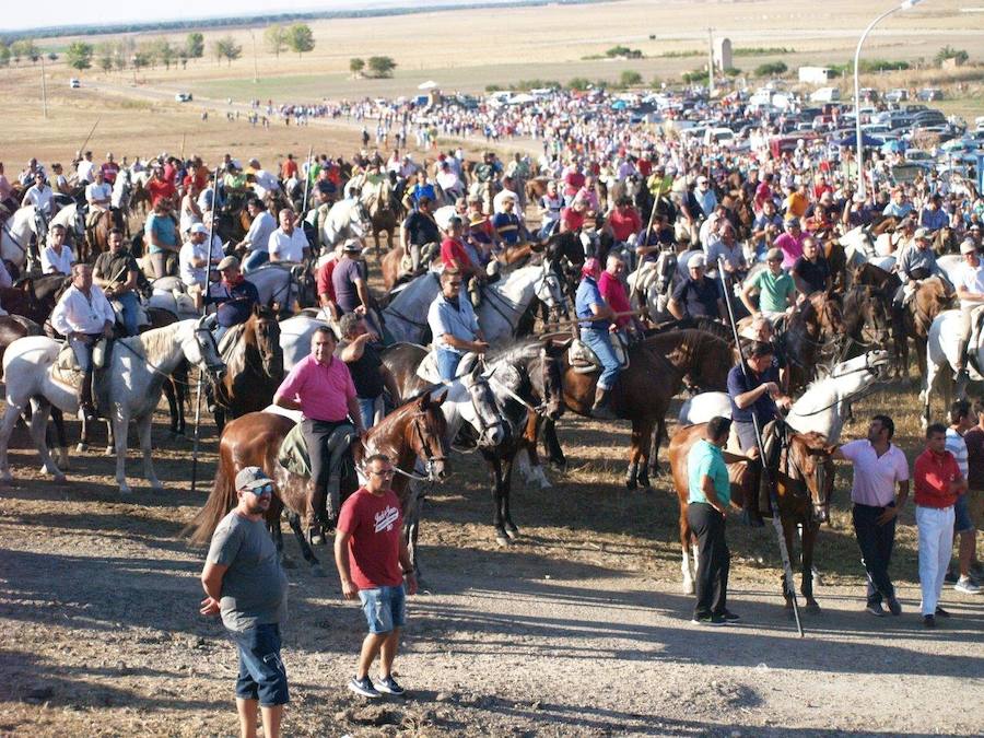 Los 'Encierros tradicionales al estilo de la Villa', declarados como fiesta de interés turístico regional, se celebran el sábado y el domingo.