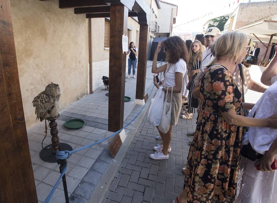 Fotos: Traspinedo disfruta de su XII Feria del Pincho de Lechazo