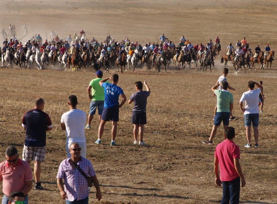 Fotos: Segundo encierro campero de las fiestas de Olmedo