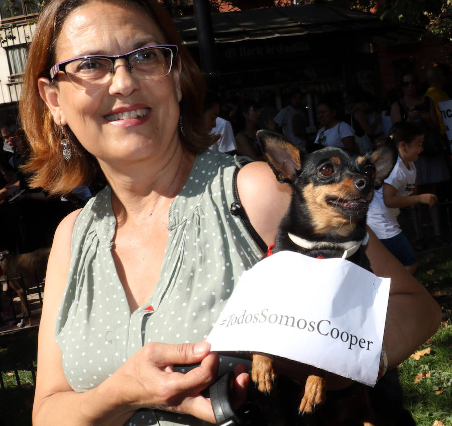 Fotos: Medio millar de personas reclaman justicia para el perro Cooper en Santovenia