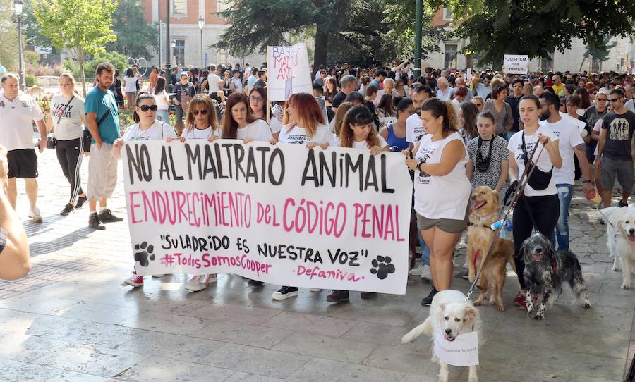 Fotos: Medio millar de personas reclaman justicia para el perro Cooper en Santovenia