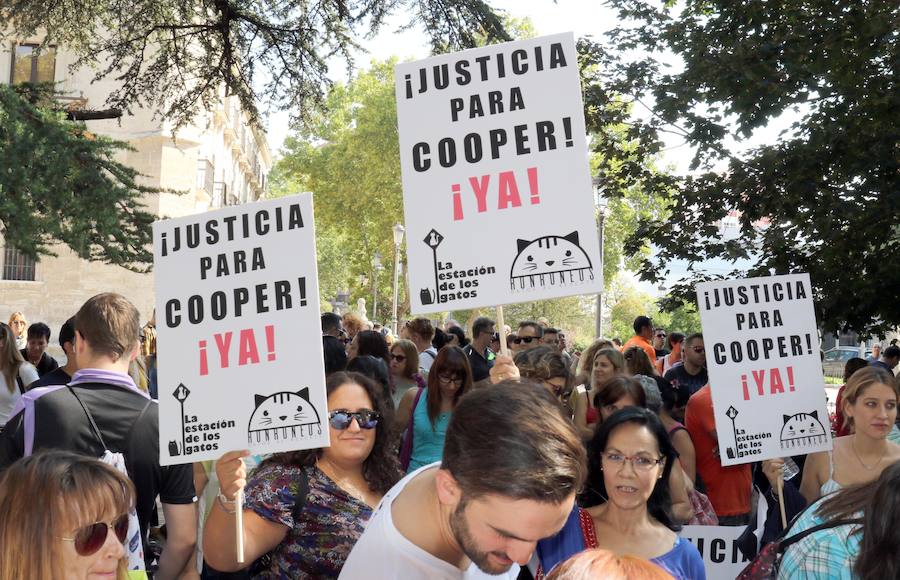 Fotos: Medio millar de personas reclaman justicia para el perro Cooper en Santovenia