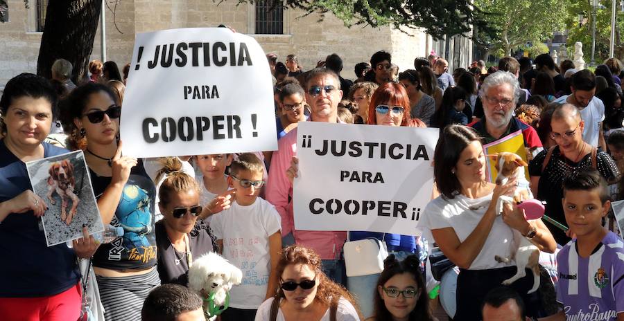 Fotos: Medio millar de personas reclaman justicia para el perro Cooper en Santovenia