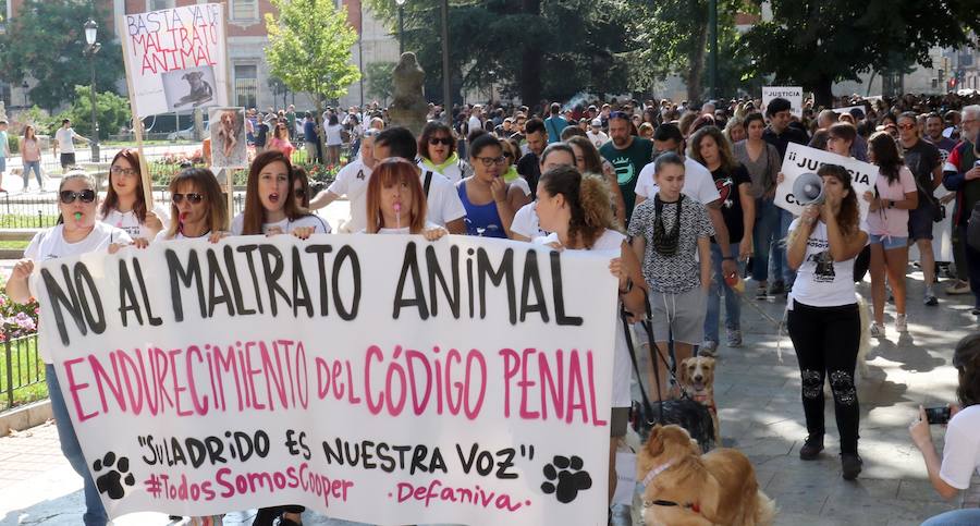 Fotos: Medio millar de personas reclaman justicia para el perro Cooper en Santovenia