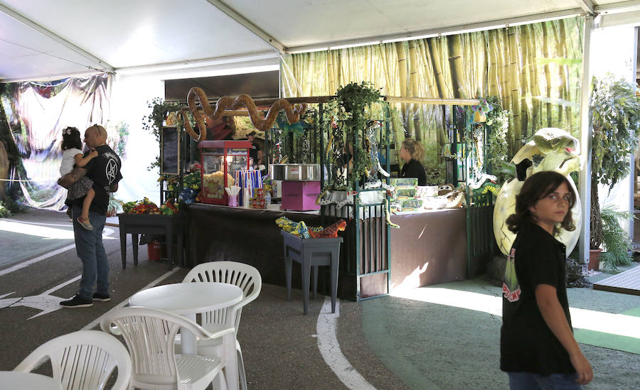 Fotos: Exposición de dinosaurios animatrónicos en el Ferial