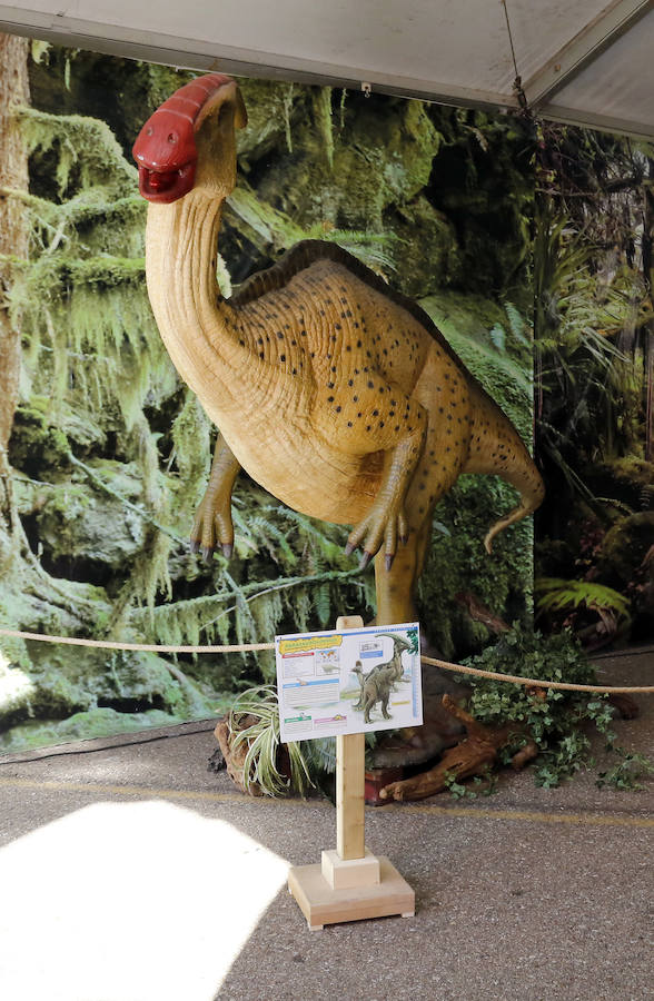 Fotos: Exposición de dinosaurios animatrónicos en el Ferial