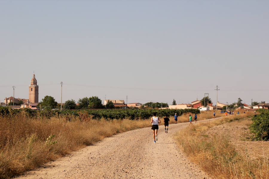 Fotos: Corriendo entre viñas en Matapozuelos