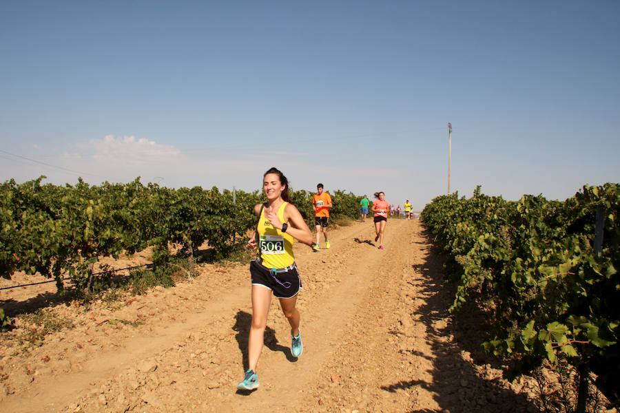 Fotos: Corriendo entre viñas en Matapozuelos