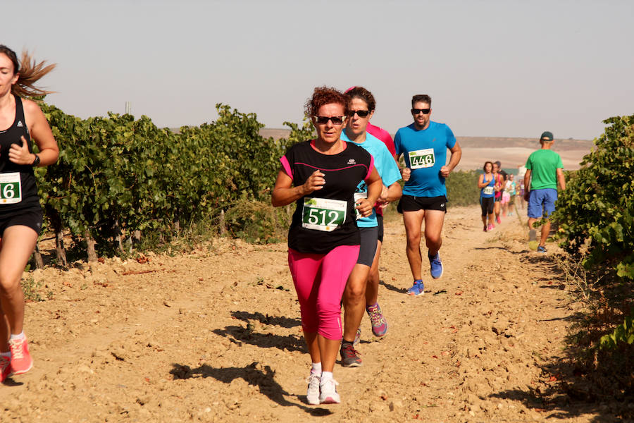 Fotos: Corriendo entre viñas en Matapozuelos