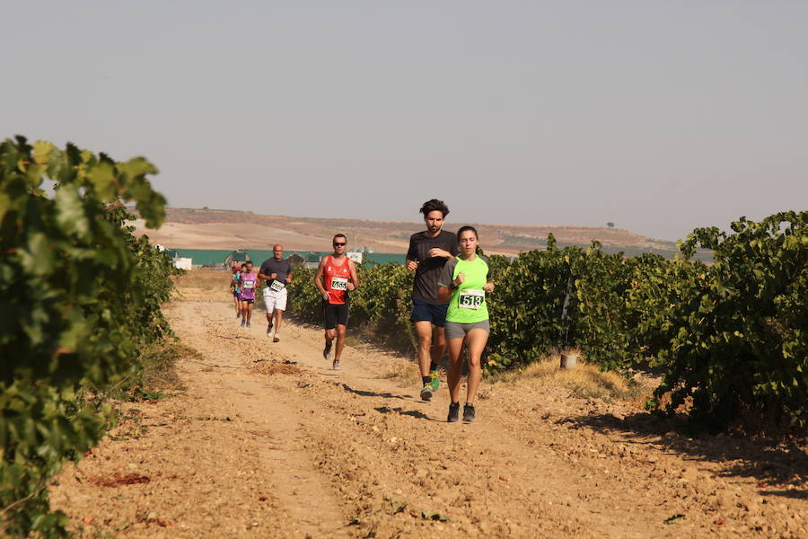 Fotos: Corriendo entre viñas en Matapozuelos