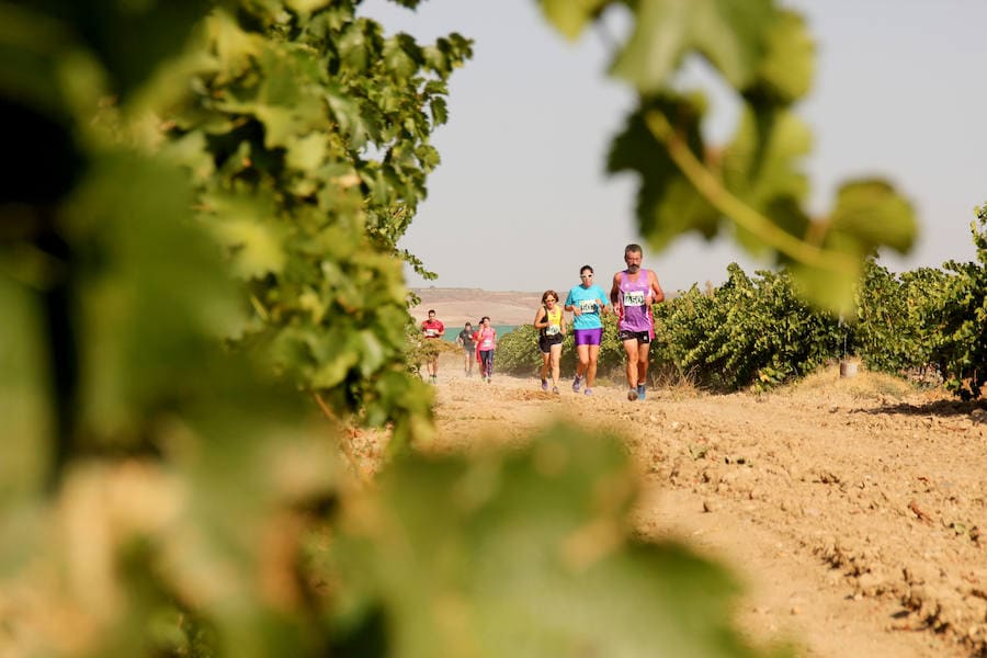 Fotos: Corriendo entre viñas en Matapozuelos