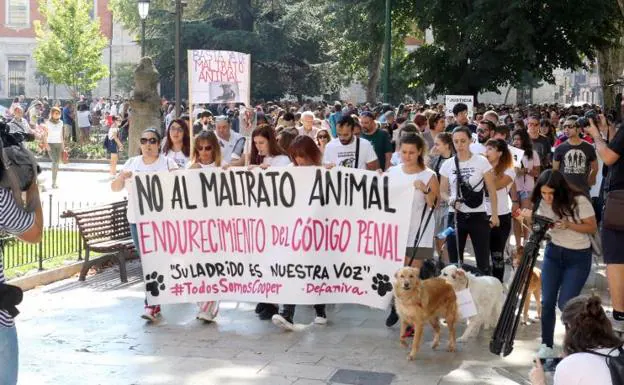 Manifestación contra el maltrato animal. 