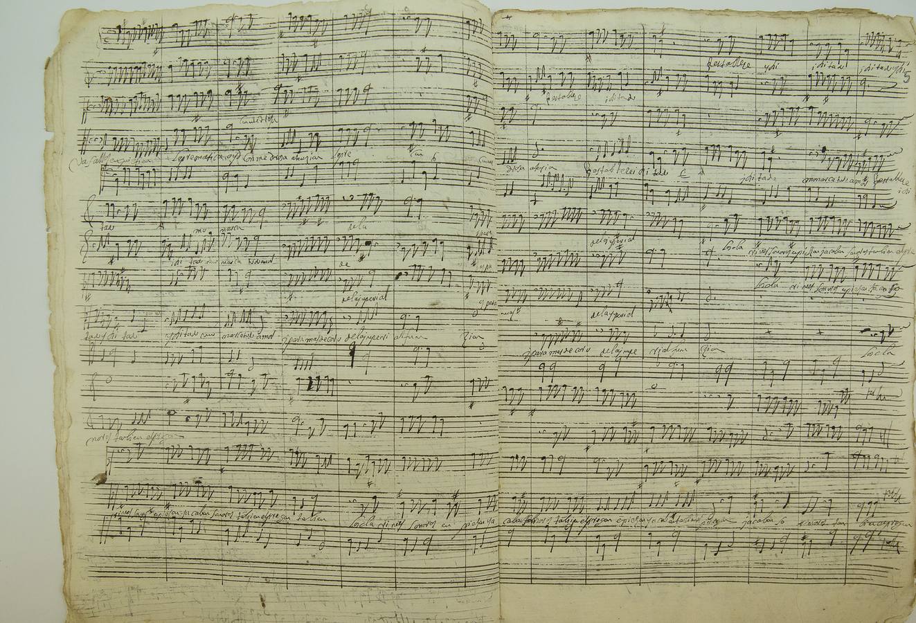 Junto a las partituras impresas y a los libros, también hay una importante cantidad de melodías manuscritas