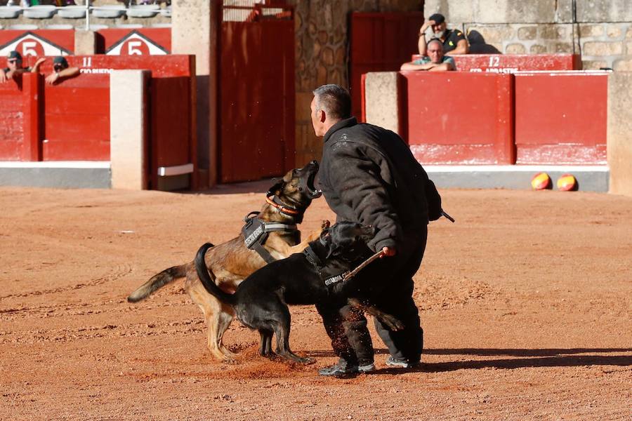 Exhibición de la Guardia Civil en la Plaza de Toros de La Glorieta de Salamanca