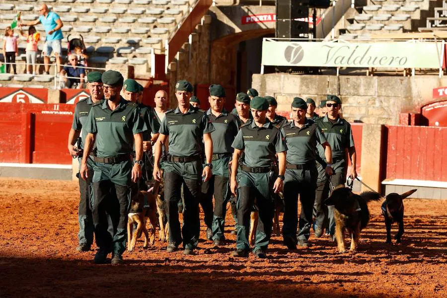 Exhibición de la Guardia Civil en la Plaza de Toros de La Glorieta de Salamanca