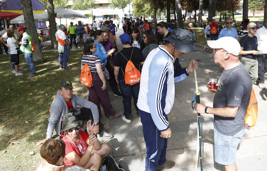 Fotos: Marcha de la Fundación San Cebrián en Palencia