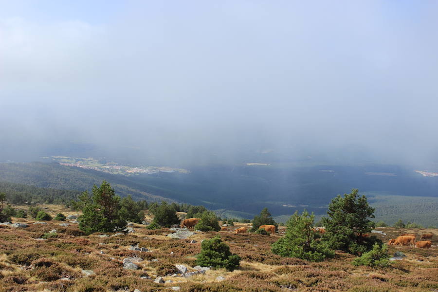 Recopilación de imágenes de los Picos de Urbión, desde el Pico Ubrión a más de 2.000 metros de altitud, en la provincia de Soria.