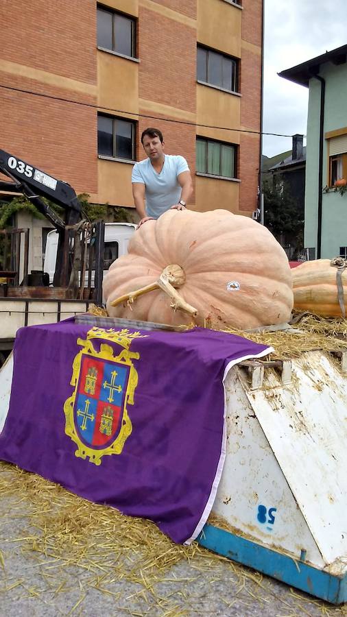 La calabaza de 600 kilos cultivada por el palentino Sergio García logra el primer puesto en el certamen de calabazas gigantes de Igüeña.