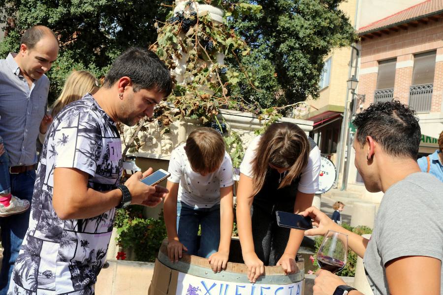 Fotos: Fiesta de la venidimia en Castrillo de Don Juan