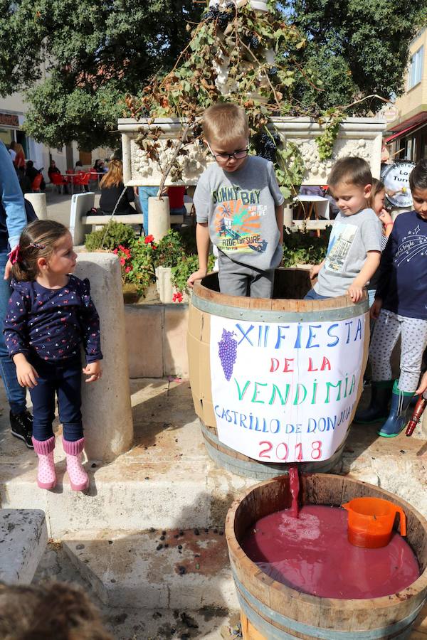 Fotos: Fiesta de la venidimia en Castrillo de Don Juan