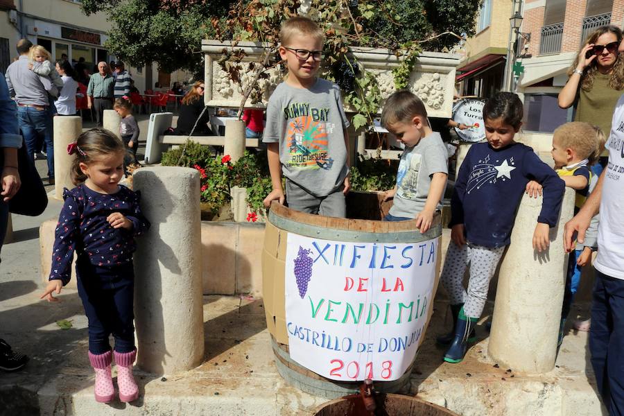 Fotos: Fiesta de la venidimia en Castrillo de Don Juan