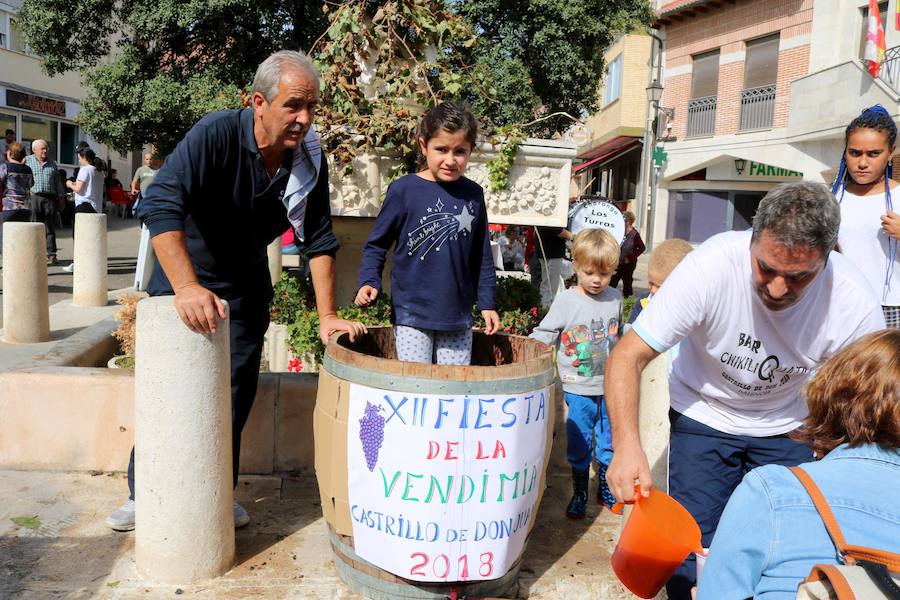 Fotos: Fiesta de la venidimia en Castrillo de Don Juan