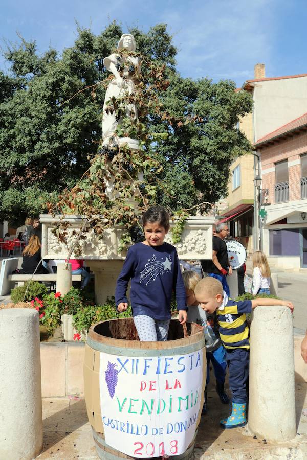 Fotos: Fiesta de la venidimia en Castrillo de Don Juan