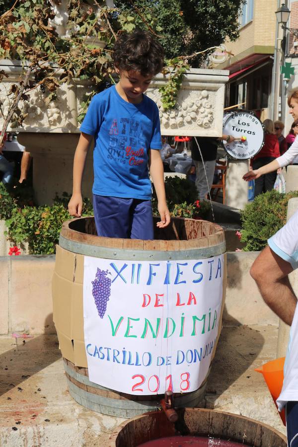 Fotos: Fiesta de la venidimia en Castrillo de Don Juan